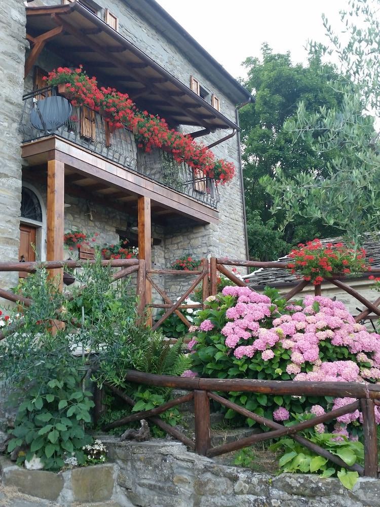 Alla Battuta Sansepolcro Ngoại thất bức ảnh